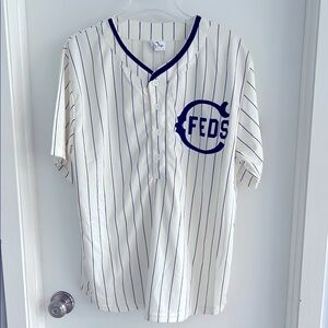 Chicago Cubs/Federals Cream and Navy Striped Jersey